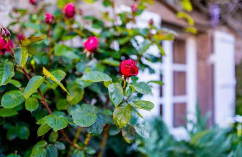 La Maison de la Mer - Vacation home in Normandy - Foto 21