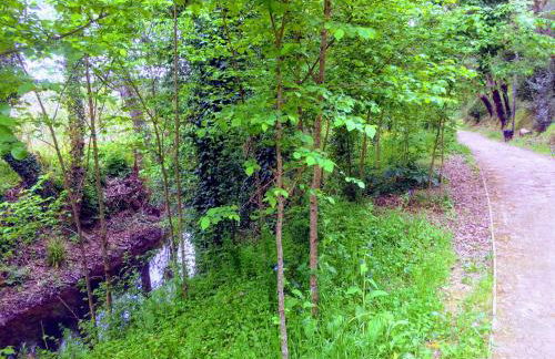 Casa de Férias MariCeu Mirandela - Foto 46