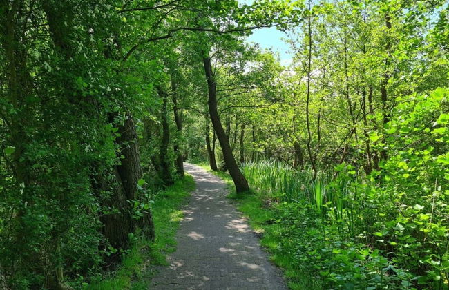 Borkum Ideal 71 A Comfortable Holiday Residence - Foto 21