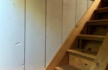 Bearly Behavin - Foto 34