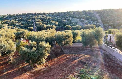 Villa Vento del Sud - Foto 26