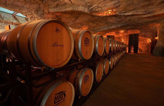 Tour of the Aldonza Gourmet Winery - Foto 8