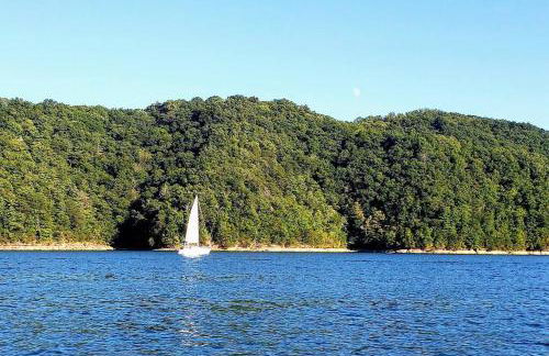 Apple Hill Bungalow, Family and PET Friendly! - Foto 18