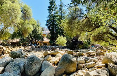 Sequoia Cabin by the River - Photo 70