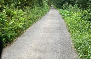 Schöne Ferienwohnung in ruhiger Lage - Foto 11