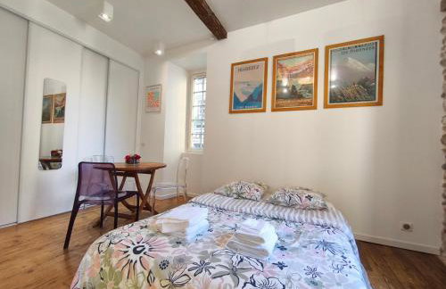 Studio RUBIS Quartier du Château - Photo 5