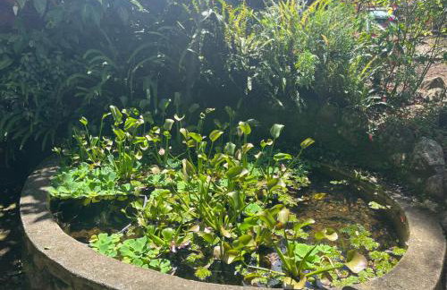 Casa em Friburgo com piscina, lareira suíte & quarto ATENCAO SABADO DIA 18 DE ABRIL TERA FESTA NA CHACARA - Foto 29