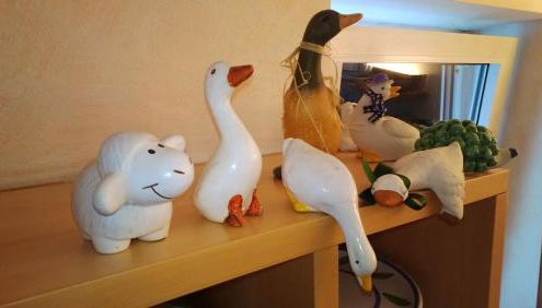 Freetime PinkAlps - Foto 5