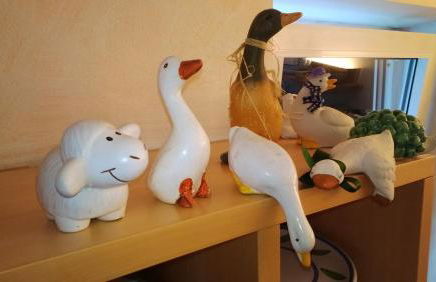 Freetime PinkAlps - Foto 5