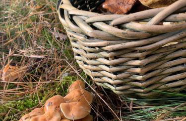 Chatka Baby Agi - Foto 47