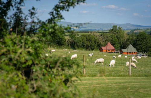 Dartmoor Eco-Pod - Oak Tree Lane - Foto 12