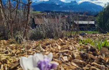 Landhaus Poppler mit Aufzug - Foto 30