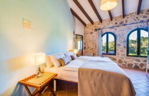 Higo Chumbo - Foto 36