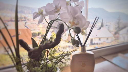 Seestudio mit toller Aussicht am Bodensee - Foto 2