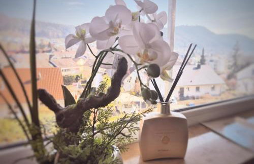 Ferienwohnung Seeliebe Bodensee mit wunderschöner Seesicht & Terrasse - Foto 8