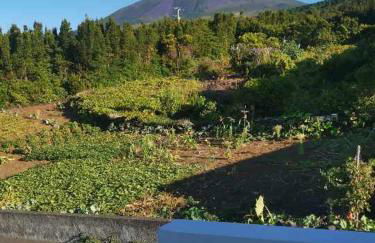 Our Place in Pico - Photo 18