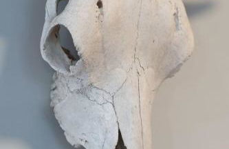 3BR/2.5 BA Townhouse |Downtown Salem w/Parking - Foto 32