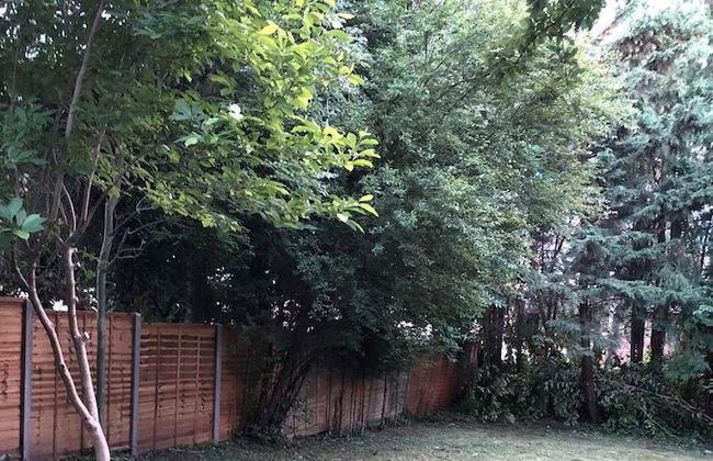 Whole House Cottage with huge Garden - Foto 24