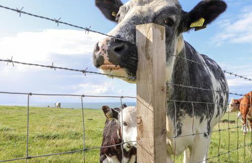 Corsewall Castle Farm Lodges - Foto 51