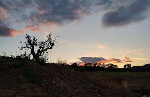 CASAL DEL SOLE - L'Ulivo - Foto 35