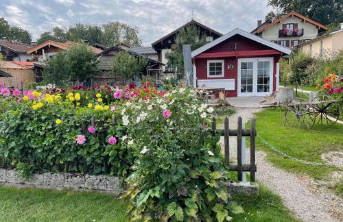 Ferienwohnung Florina - Foto 10