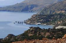 Harmony Family house - Foto 27