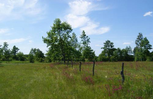 Kurpiowska Chatka - Foto 56