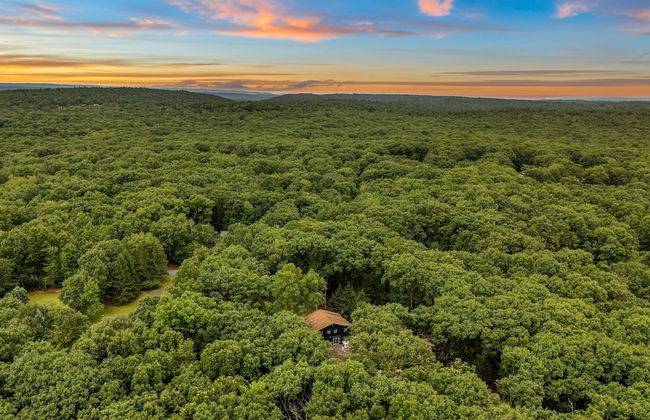 The Evergreen Escape by Avantstay Modern Cabin w Volleyball Court Hot Tub - Foto 55