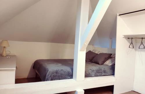 Au bord du Foron - Foto 12