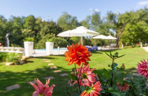 Apartments Cetri Hrasta - Foto 39