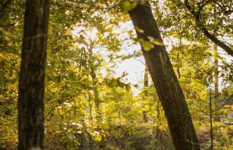 Ostoja Rakówiec - Foto 30