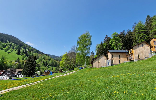 Ski-In Ski-Out Mountain Duplex Portášky2 - Foto 30