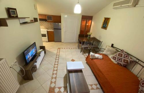 La Soffitta di Bampina - Foto 7