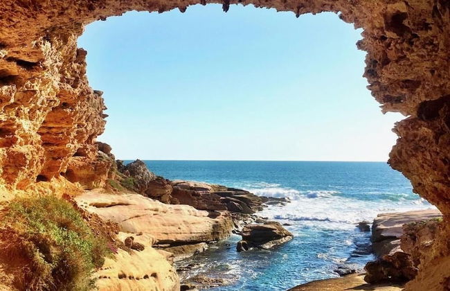 Coodlie Park Eco Retreat - Foto 26