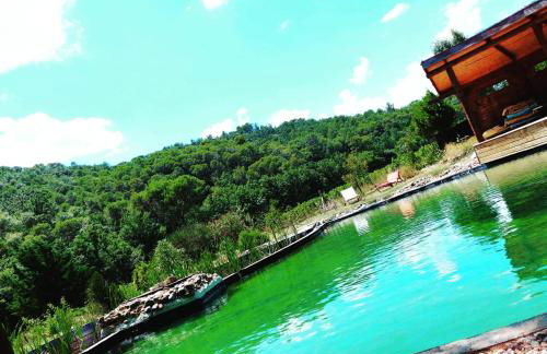 L'Etang Des Cigales - Foto 19