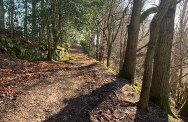 Cwmbach Cottage, Hay on Wye - Foto 14