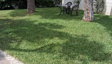 Chalet Costa de la Luz - La Barrosa - Foto 5, Garden