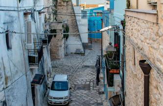 Rosa azzurra - Foto 63