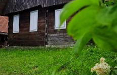 Guesthouse DARKWOOD - Foto 33