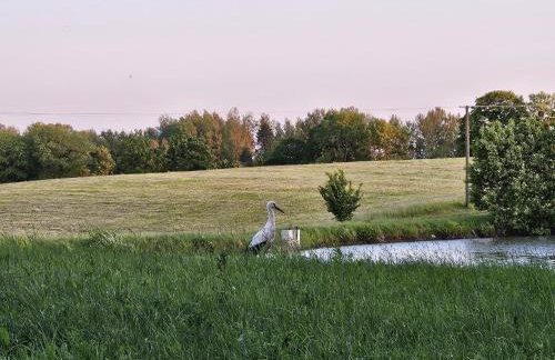 Siedlisko Mazury II - Foto 42
