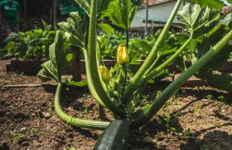 La Casa de Consuelo 3 - Foto 27