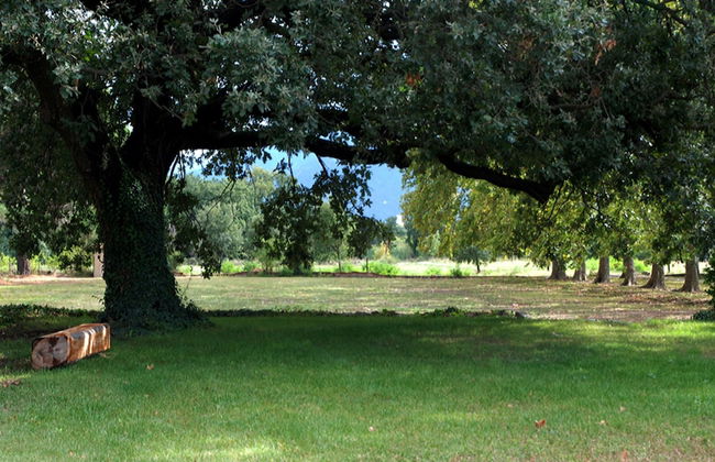 Chateau de Villeclare - Foto 42