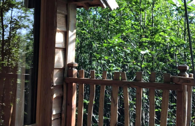 Ô bois dormant - Foto 13