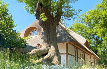 Haus Windfee Fewo 1 - Foto 22