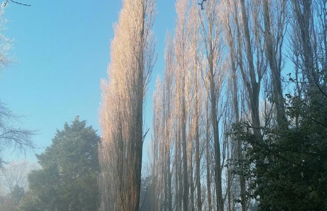 Stunning 1-bed Cottage With Hot Tub in Ross-on-wye - Foto 31