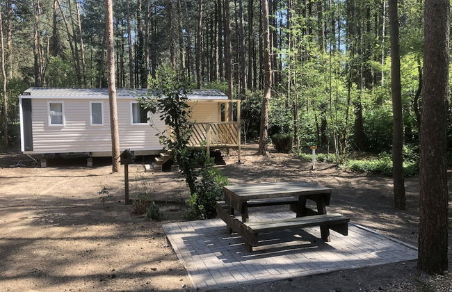 Spacious 6-person Chalet in Antwerp - Foto 1