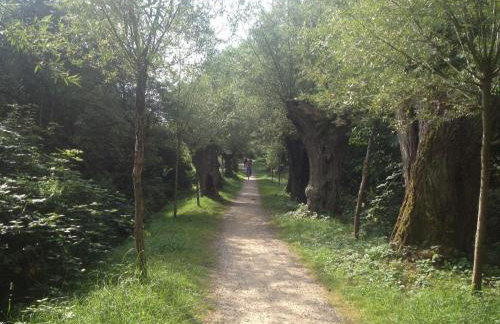 Ein-Steinwurf-zum-Ostseestrand-Ferienwohnung-Martha-mit-Terrasse - Foto 32