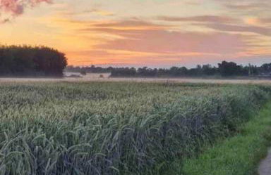 Studio - Apartment Steinmetz mit Balkon - Foto 28