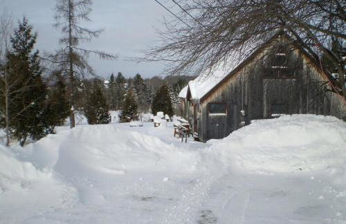 Rustic Family-Friendly Cabin Rental with Full Kitchen in the Northeast Kingdom of Vermont - Foto 7