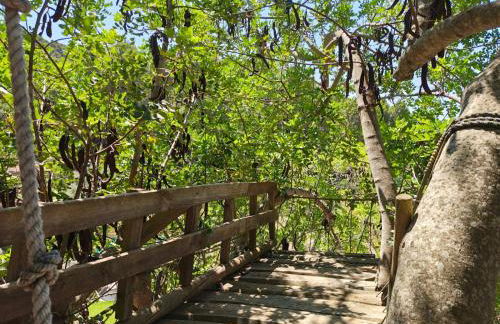 La Zalema - Photo 49